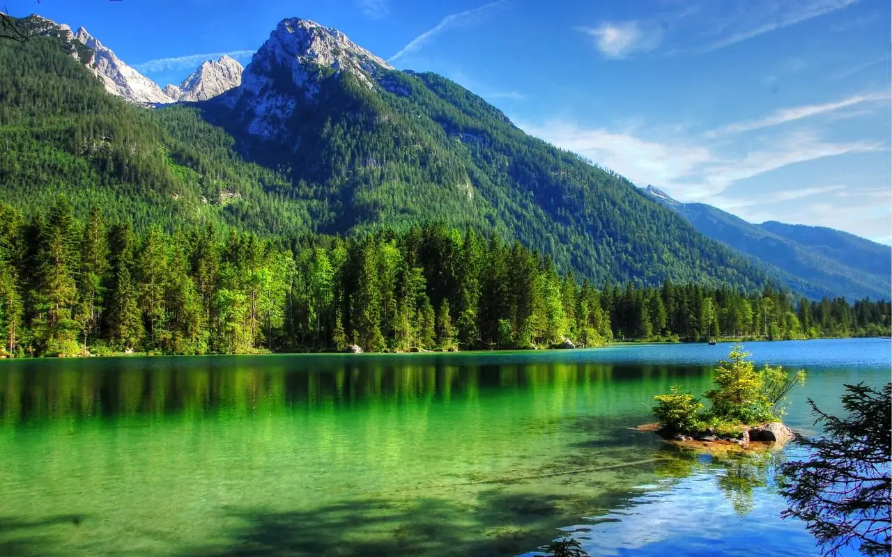 独特环保电子
